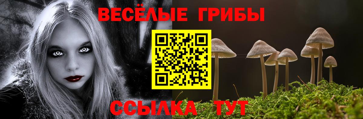 Галлюциногенные грибы мухоморы Клинцы