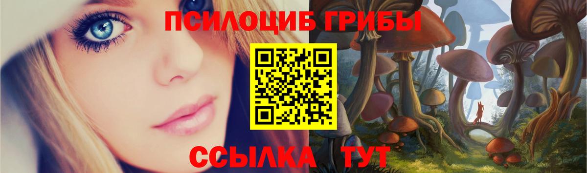 Клинцы  Псилоцибиновые грибы мицелий  Вход с VPN 